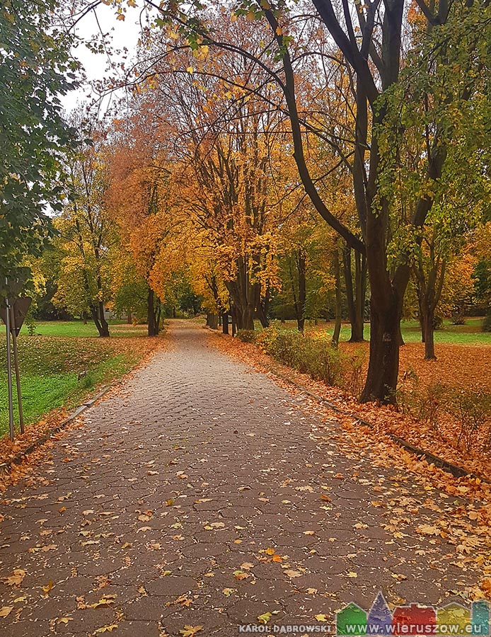 Jesienny park przy PKS