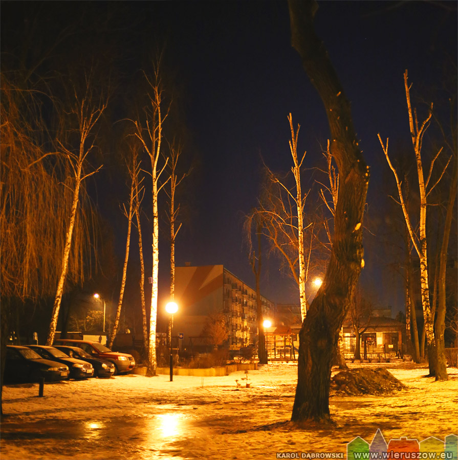 Zimowa wycinka drzew na osiedlu Waryńskiego