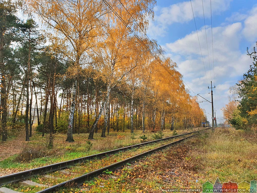 Złota jesień przy torach kolejowych